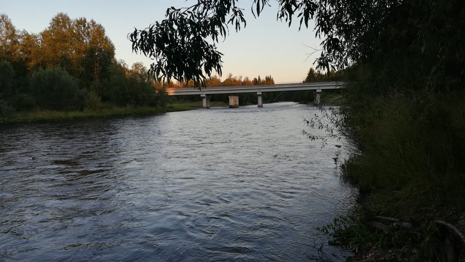 Слайд # 1 Slide background